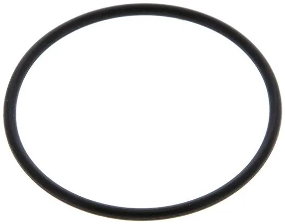 SMC - C3SFP-260S - O-Ring for Container