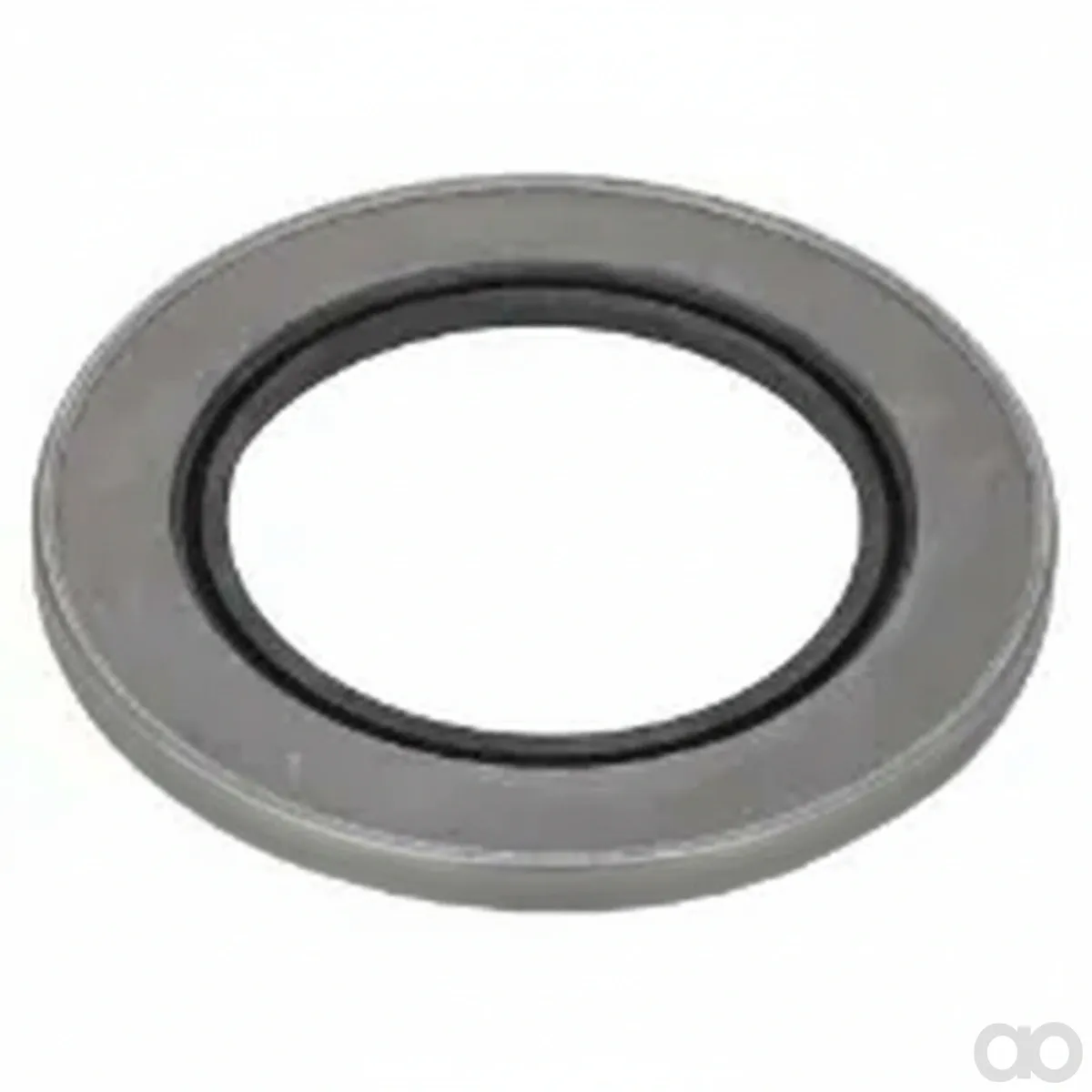 Massey Ferguson - 1613239M1 - Gasket