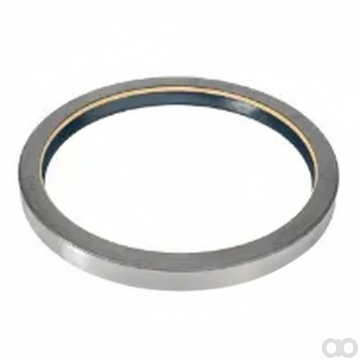 Massey Ferguson - 3019960X1 - Radial Seal Ring