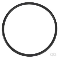 Massey Ferguson - 3906597M1 - O-Ring