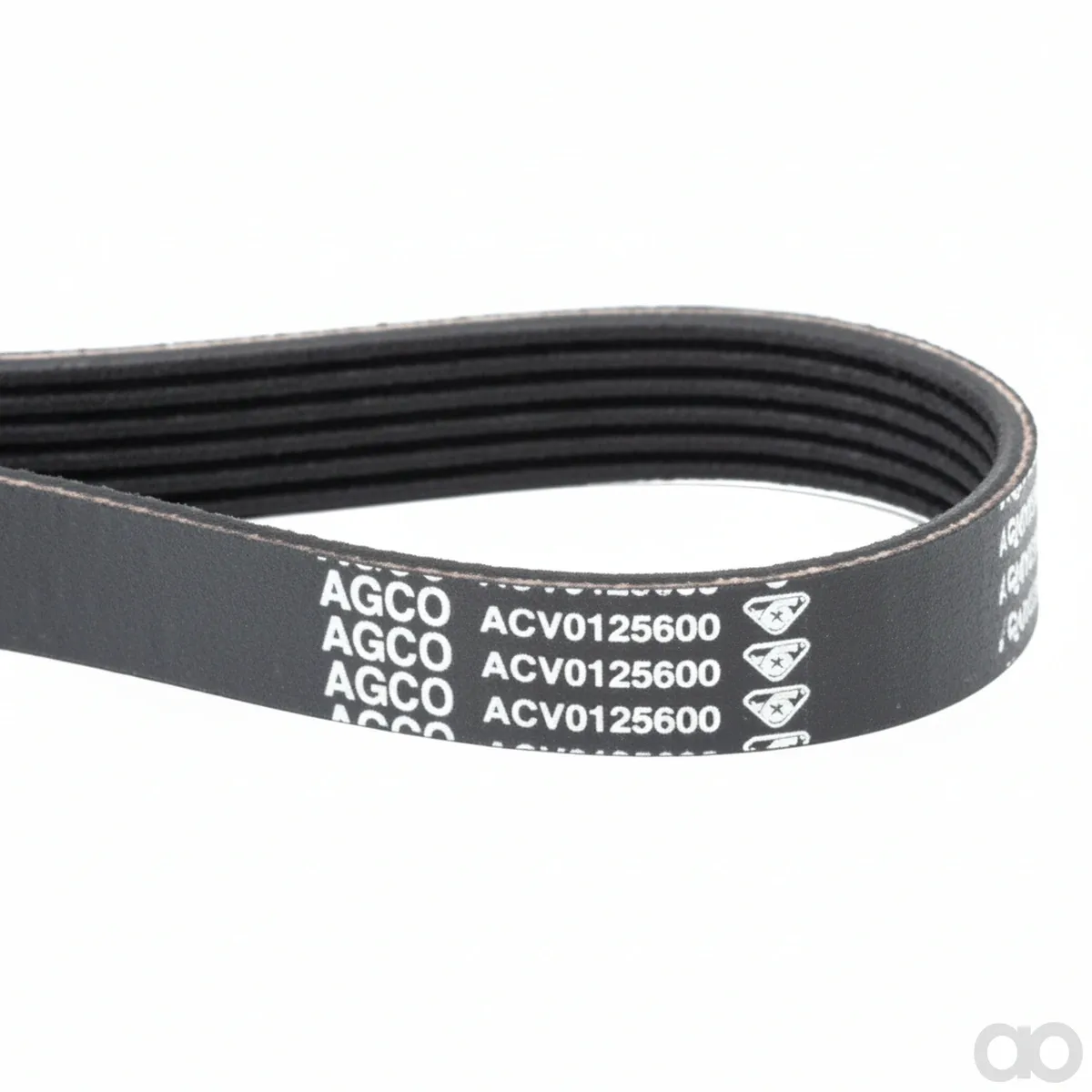 Massey Ferguson - ACV0125600 - Serpentine Belt, PK6 Profile
