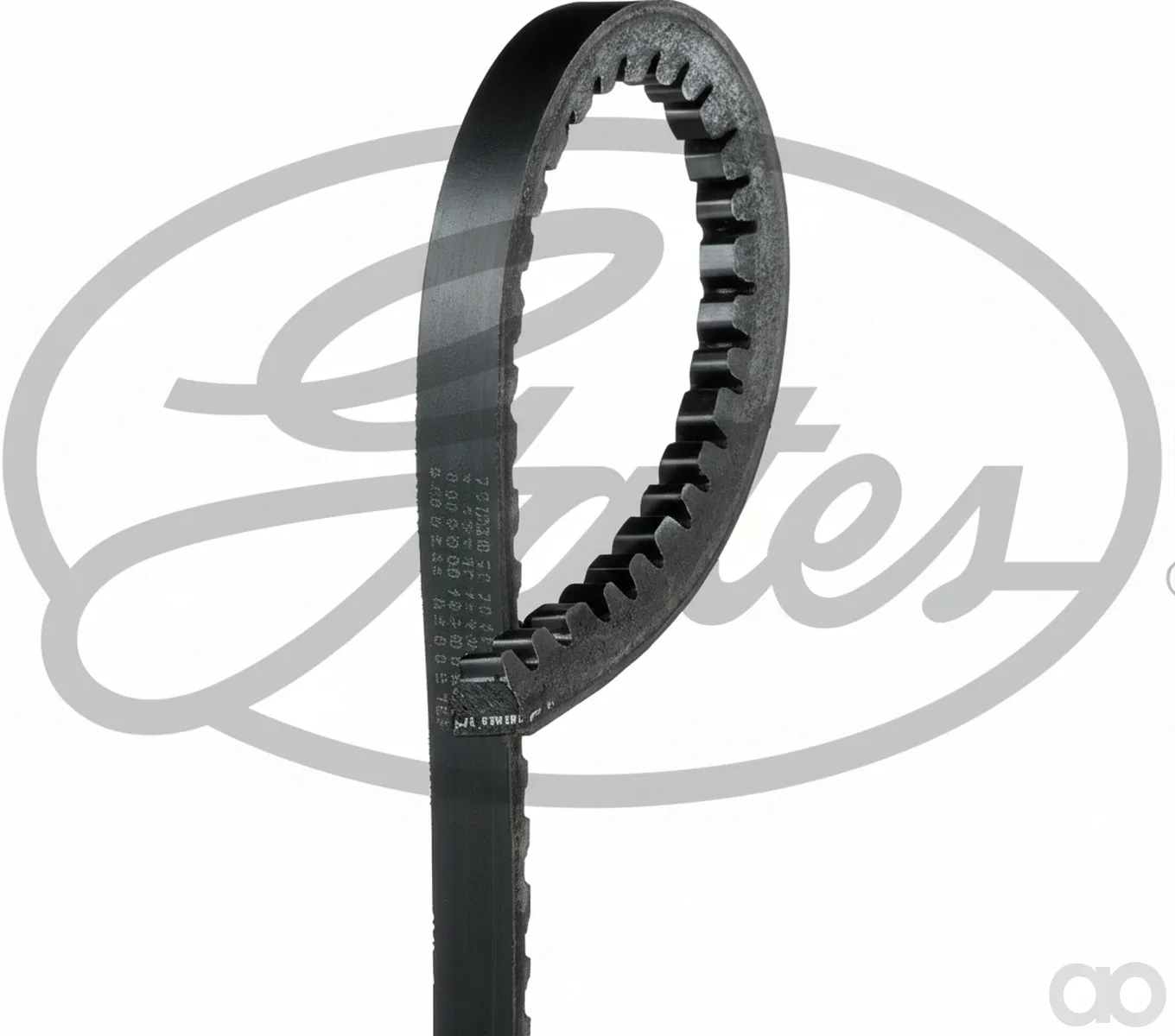 Massey Ferguson - AVX13X1500LA - V-BELT =NML=
