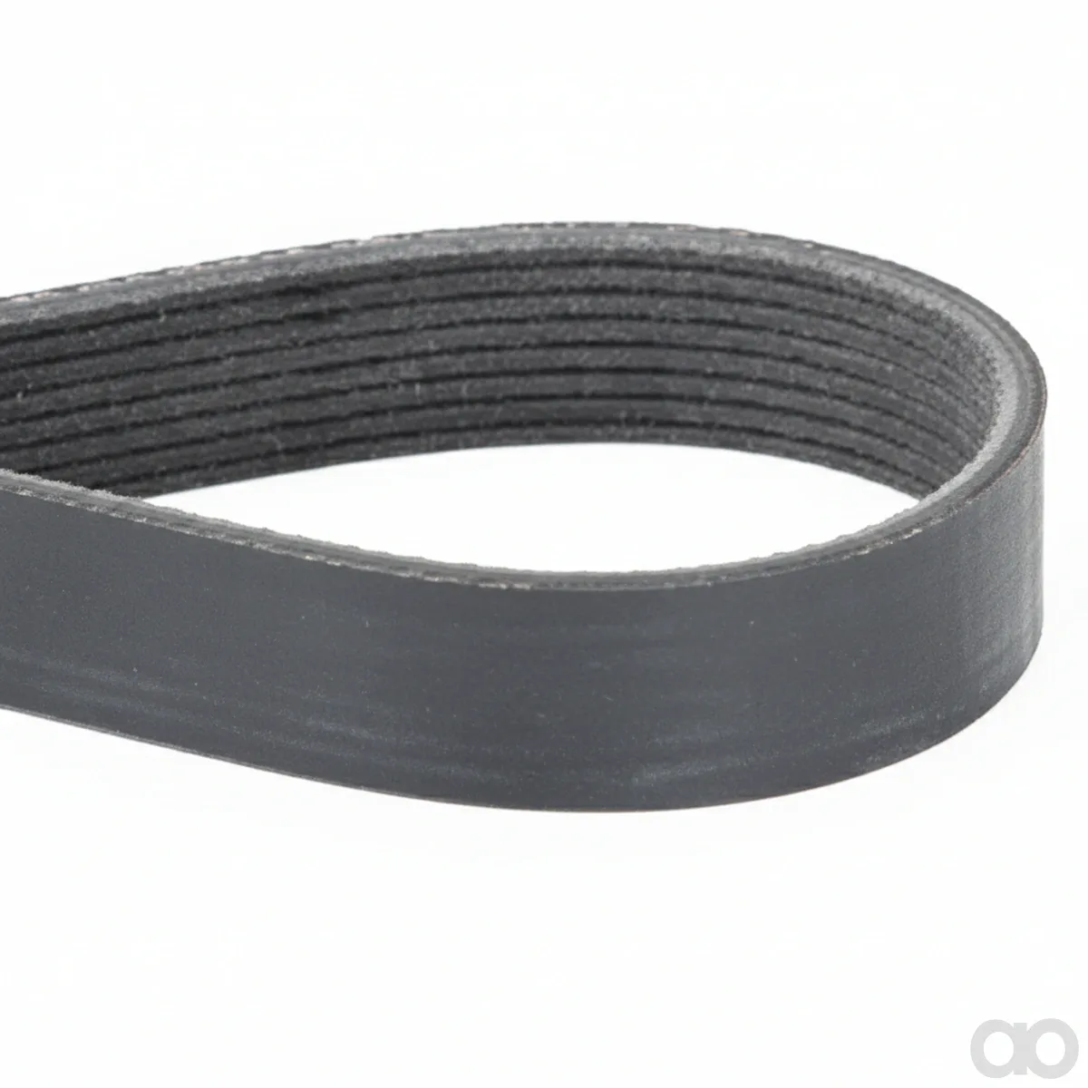 Massey Ferguson - F842201040010 - Serpentine Belt, PK8 Profile