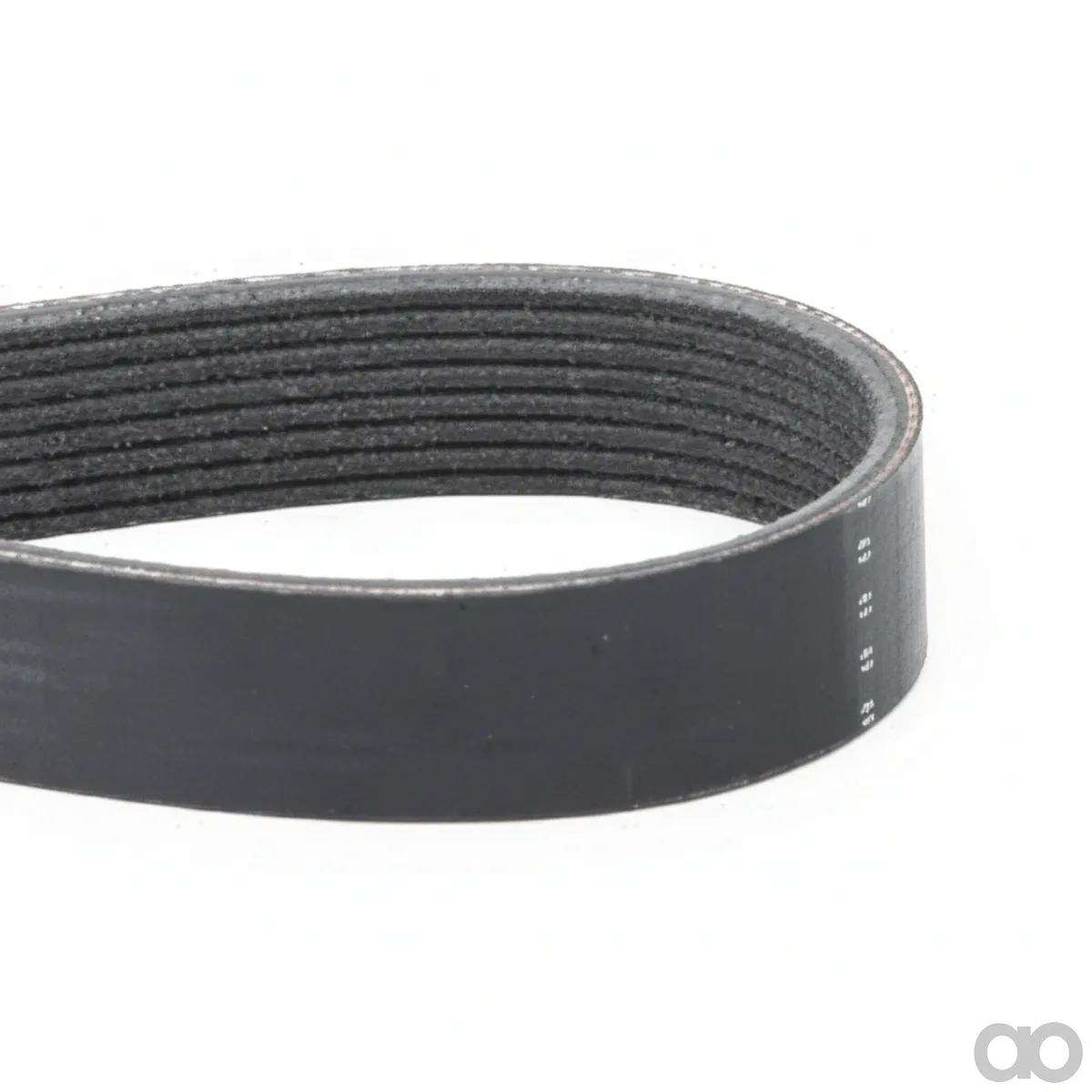 Massey Ferguson - F954200040020 - Serpentine Belt, PK8 Profile