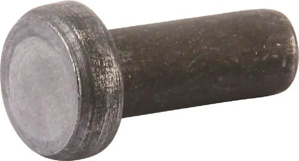 Agria - AGW07569 - Special Rivet 5x16.5