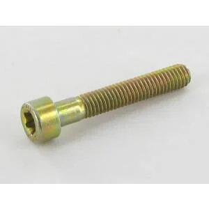 Alpina - 2135050 - Screw Torx M5x30