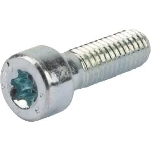 Alpina - 2135160 - Screw