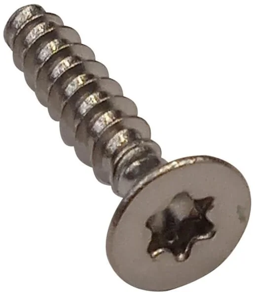 Ambrogio - C02571 - Torx Screw 4x20