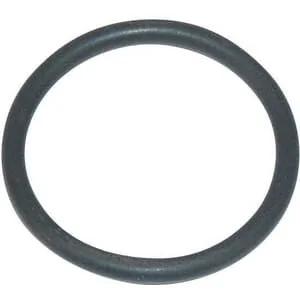 Arag - 462300550V - O-Ring 3.53x29.75 Viton