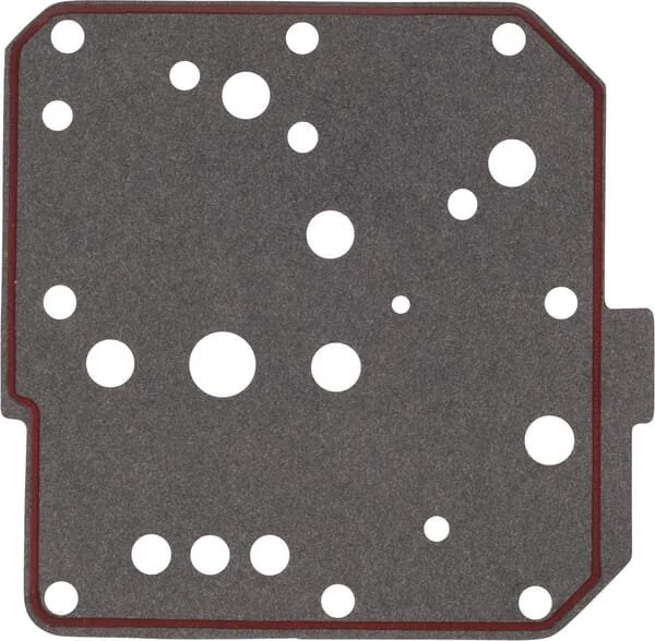 Argo - 258697A2 - Gasket
