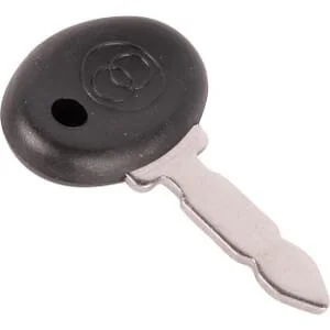 Argo - 3678782M1 - Ignition Key