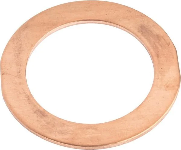Argo - 3810998M1 - Washer