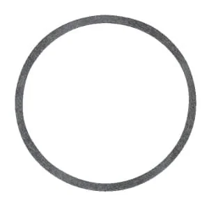 As Motor - E01206 - Seal