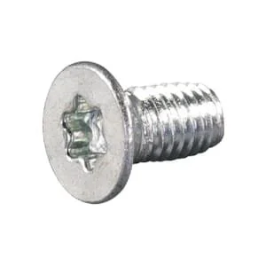 As Motor - E05451 - Bolt 5x10 With Torx