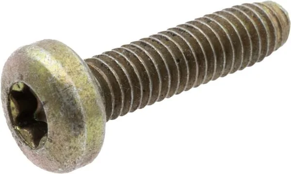 As Motor - G00009056 - Self-Tapping Torx Screw (4x)