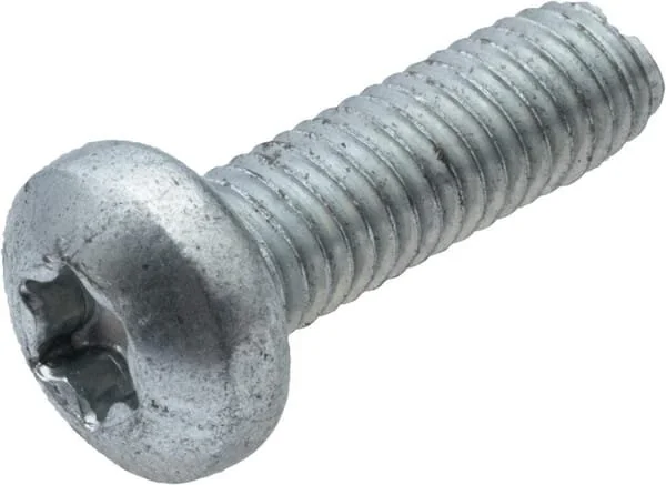 As Motor - G00009148 - Self-Tapping Torx Screw (10x)