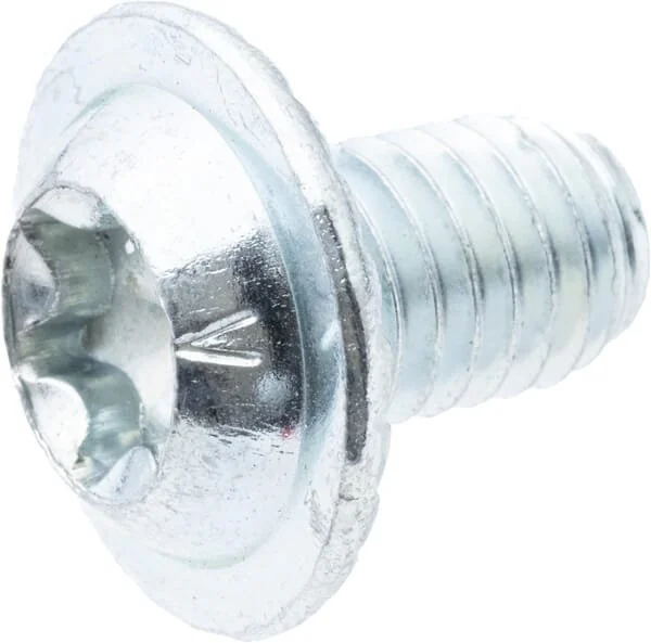 As Motor - G00009174 - Torx Dome-Head Screw (10x)
