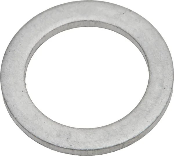 As Motor - G06650402 - Gasket (2x)
