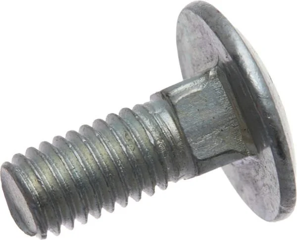 As Motor - G06650420 - Screw (2x)