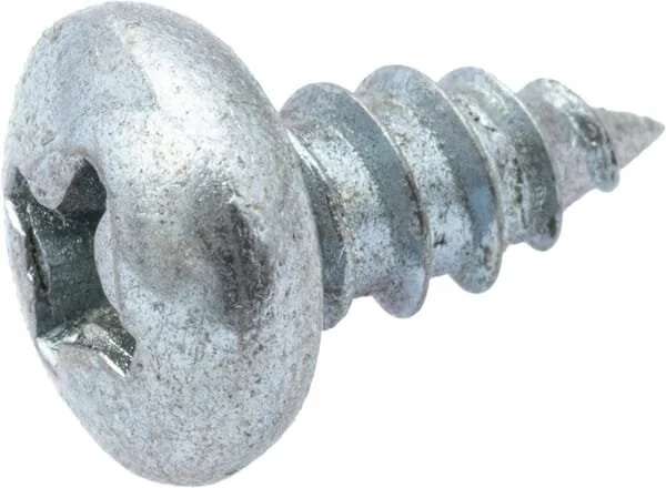 As Motor - G07875005 - Raised Cross-Head Sheet-Metal Screw (10x)