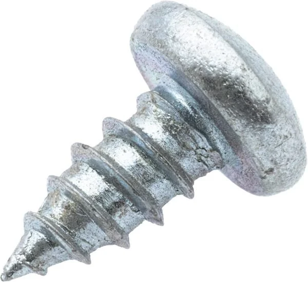 As Motor - G07875005 - Raised Cross-Head Sheet-Metal Screw (10x)