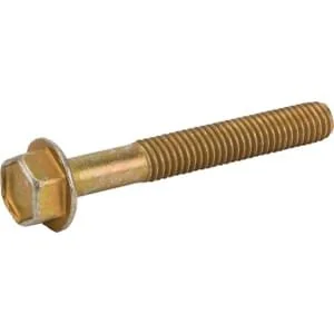 Ayp