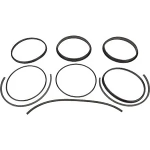 Battioni Pagani - 6080200352 - Seal Rebuild Kit 8''BIDI