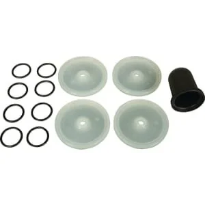 Bertolini - 289887973DS - Desmopan Membrane Set