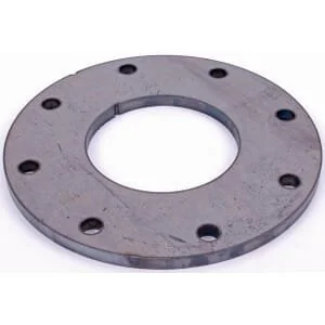Bondioli Pavesi - 2481L0005 - Pressure Plate FNV 34