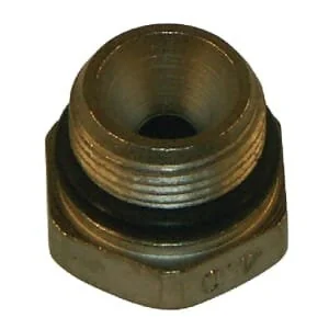 Braglia