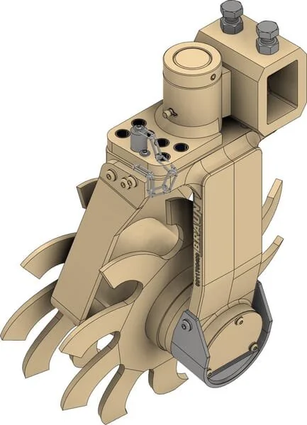 Braun