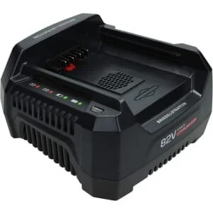 Briggs and Stratton