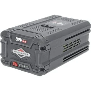 Briggs and Stratton