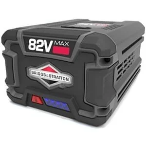 Briggs and Stratton