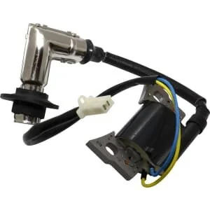 Briggs And Stratton - 317436GS - Ignition Coil, Briggs & Stratton