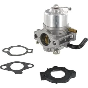 Briggs and Stratton