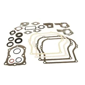 Briggs and Stratton - 495603 - Gasket Set B/S