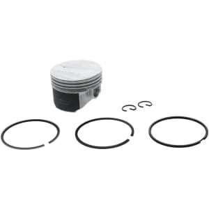 Briggs And Stratton - 557122 - Piston Assembly-010