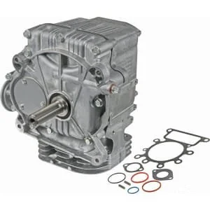 Briggs and Stratton
