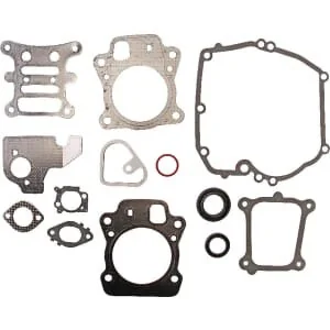 Briggs And Stratton - 592173 - Motor Gasket Kit Briggs & Stratton