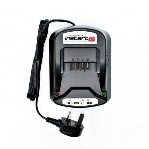 Briggs and Stratton