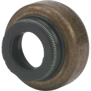 Briggs And Stratton - 697338 - Valve Gasket