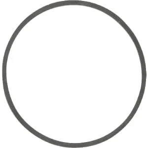 Briggs and Stratton - 698538 - Bowl seal