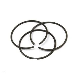 Briggs And Stratton - 699658 - Ring Set-STD