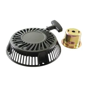 Briggs and Stratton