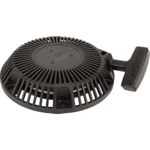 Briggs and Stratton