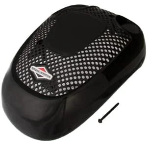 Briggs and Stratton