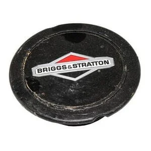 Briggs and Stratton