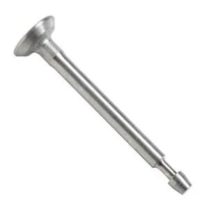 Briggs and Stratton - 795443 - Intake Valve