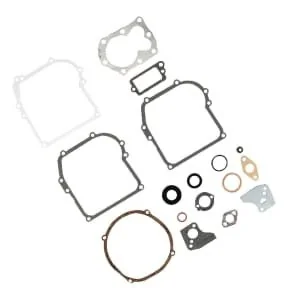 Briggs And Stratton - 795971 - Engine Seal Kit